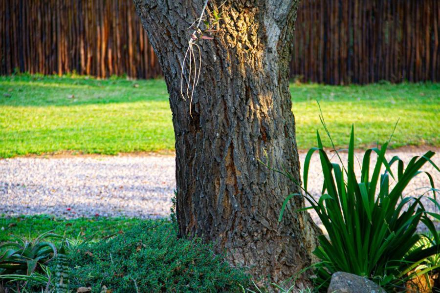 Kangelani Lodge Hillcrest Exteriér fotografie